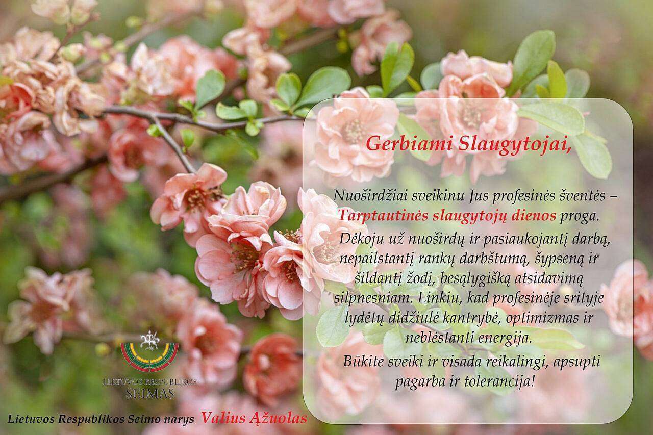 LR Seimo nario Valiaus Ąžuolo sveikinimas Tarptautinės slaugytojų dienos proga!