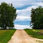 2022–2023 metams nupirkti vietinės reikšmės kelių ir gatvių priežiūros (greideriavimo) darbai