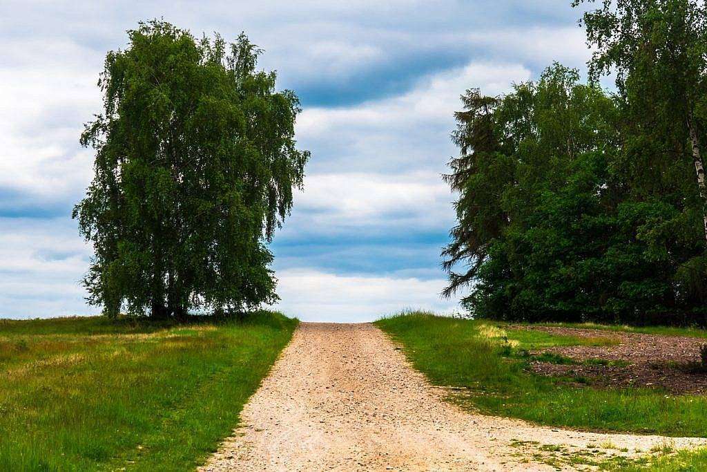 2022–2023 metams nupirkti vietinės reikšmės kelių ir gatvių priežiūros (greideriavimo) darbai