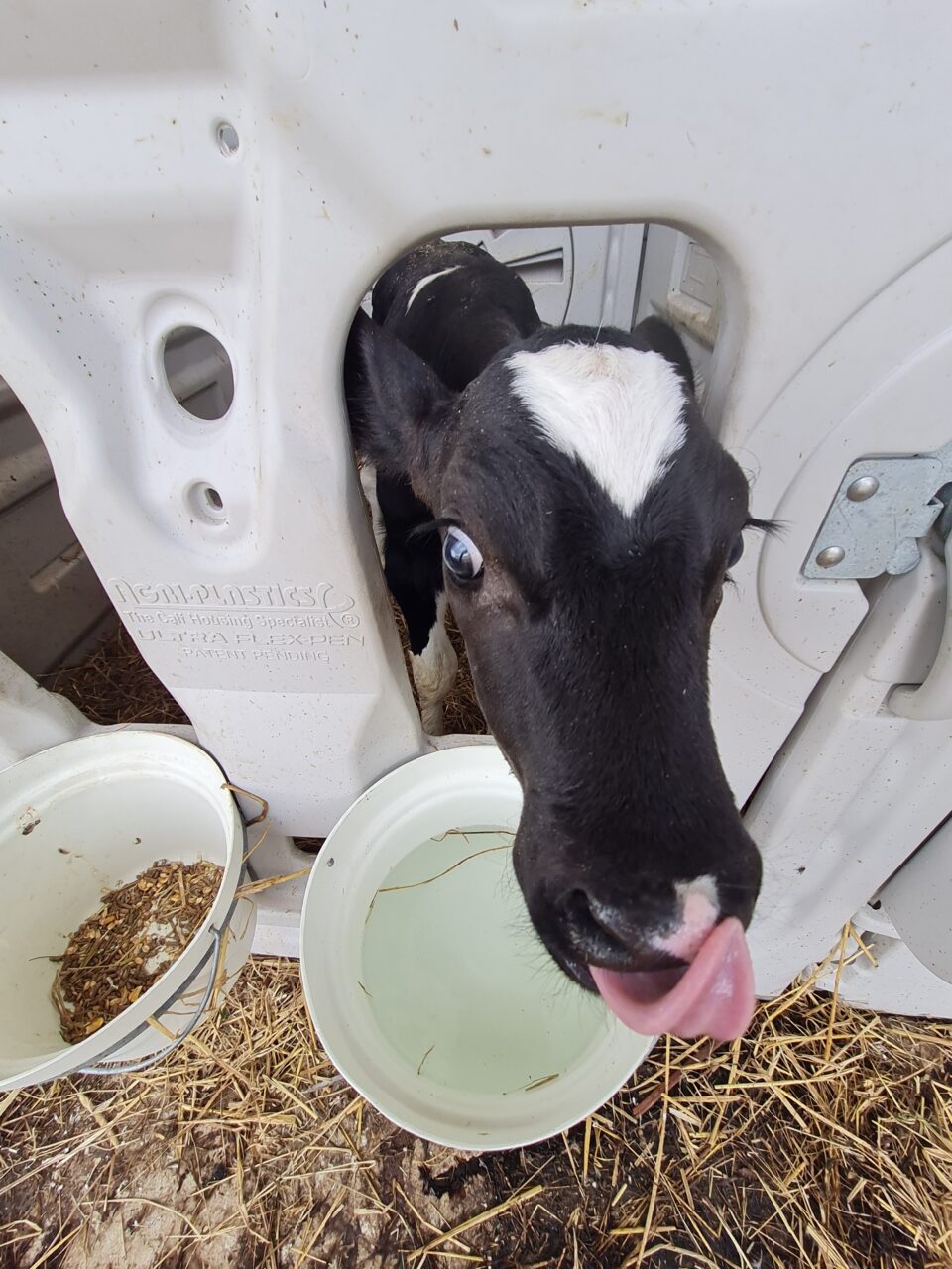 Konkurso „Metų ūkis 2022“ komisija baigė vertinti kandidatus