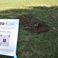 Skuode įgyvendinta „Jaunimo parko“ idėja