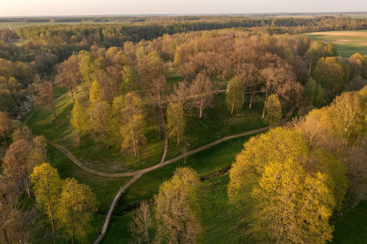 Kviečiame į Šauklių kadagyno poilsiavietės atidarymą!