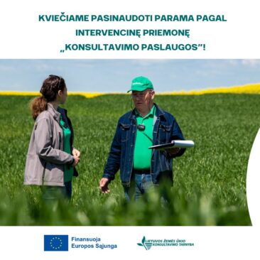 Kviečiama pasinaudoti parama pagal intervencinę priemonę „Konsultavimo paslaugos“