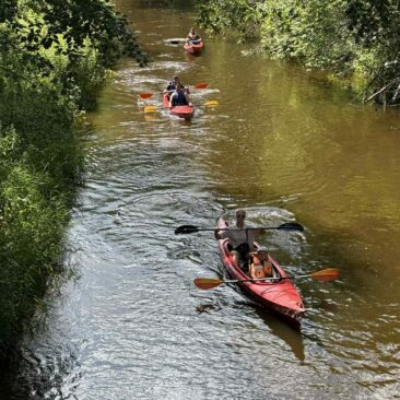 Projektas „Fizinė veikla ir emocinis atsparumas per aktyvias veiklas”