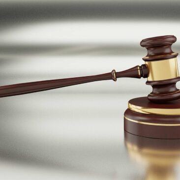 Visuomenės informavimas apie aukcione parduodamus valstybinius žemės sklypus