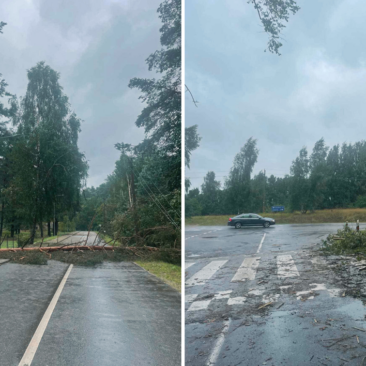 Kelininkai tęsia darbus siaučiant audrai – šalinami šimtai kritusių medžių