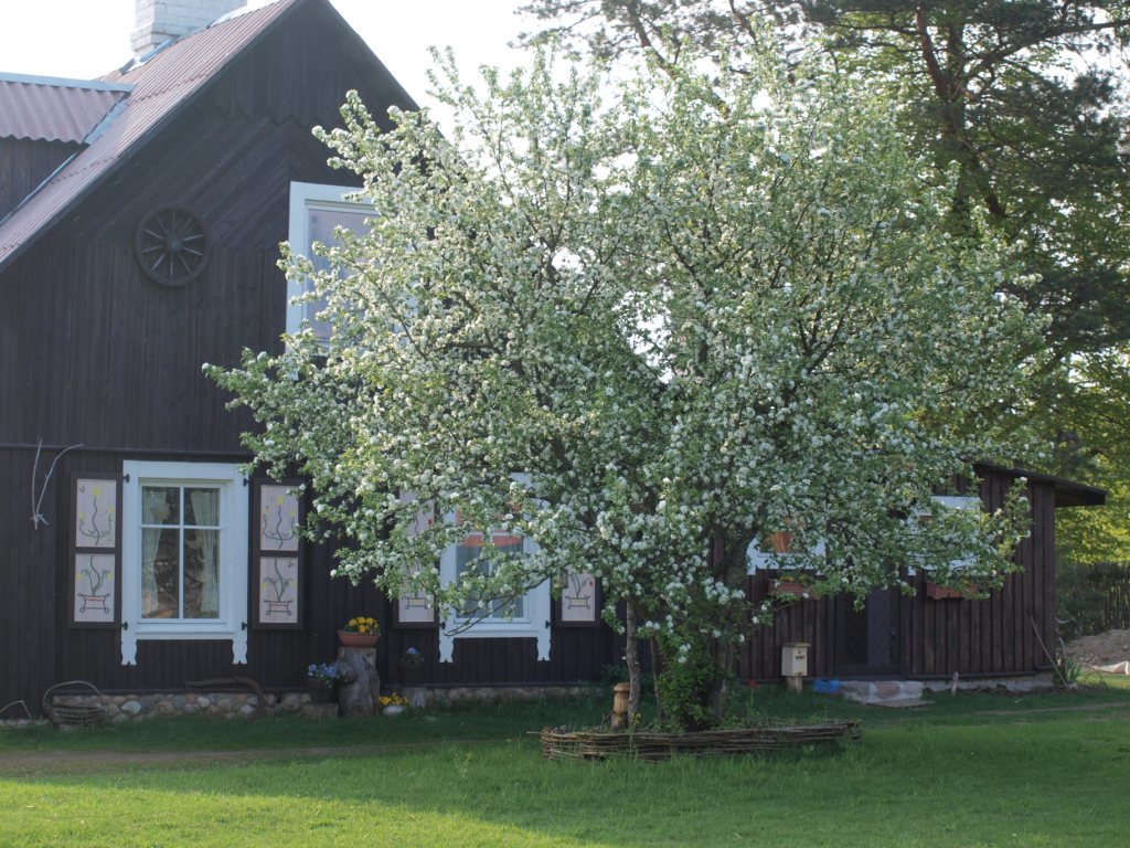 Featured image for article: Etnokultūrinės kaimo turizmo sodybos konkursas 2026