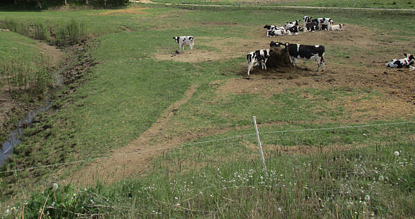 Svarbu pranešti apie valdoje naudojamas trąšas