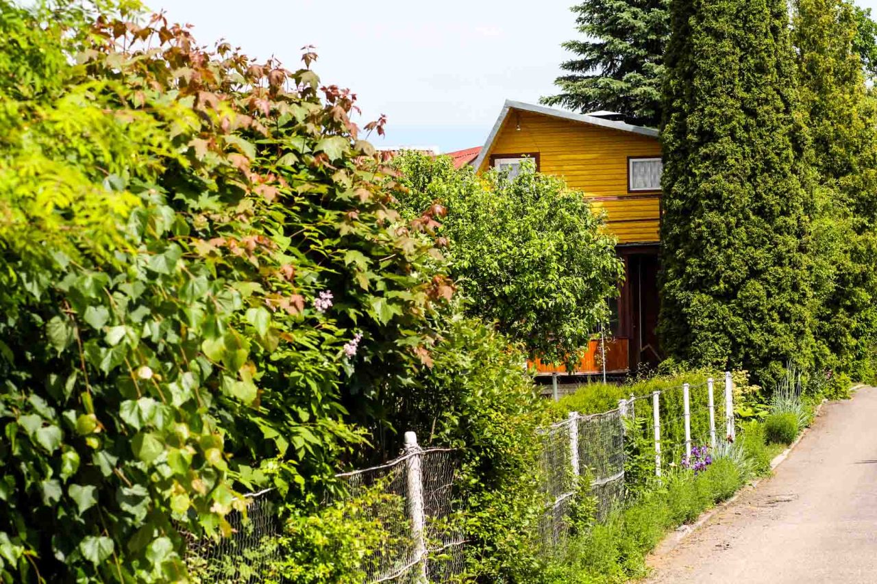 Dėl lėšų skyrimo sodininkų bendrijoms