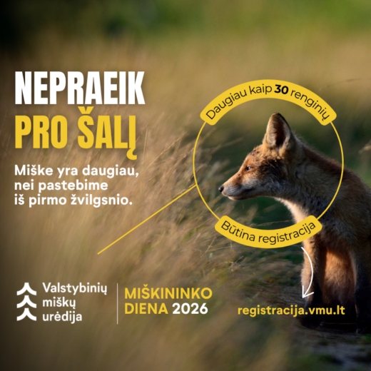 Featured image for article: Valstybinių miškų urėdija kviečia Lietuvos gyventojus į Miškininko dienų renginius