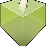 Rinkimų stebėtojų kandidatūras registruoja rinkimų komisijos