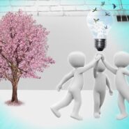 Paskirstytos Kultūros plėtros ir bendruomenių aktyvinimo veiklų dalinio finansavimo lėšos