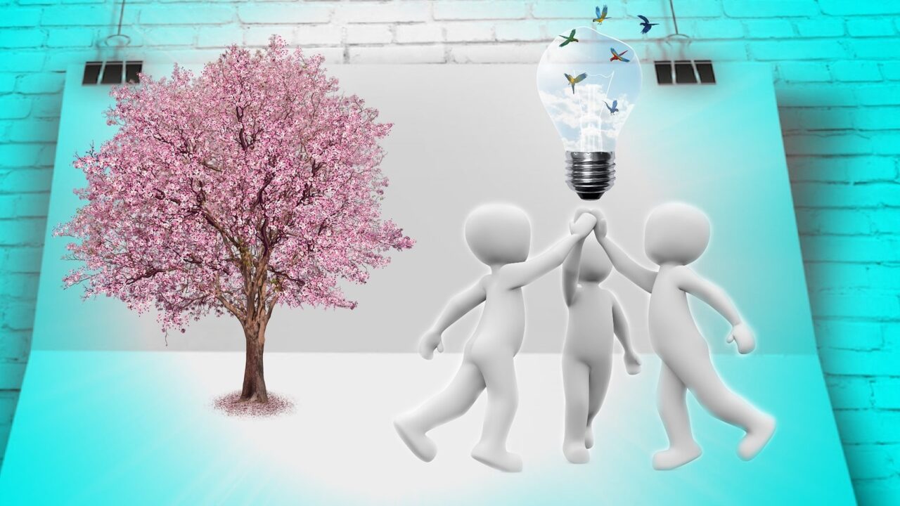 Paskirstytos Kultūros plėtros ir bendruomenių aktyvinimo veiklų dalinio finansavimo lėšos