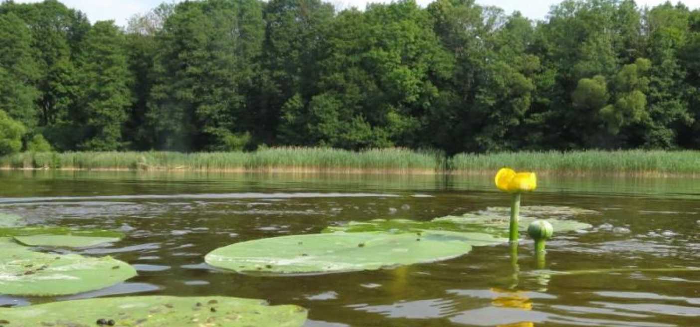 Informacinis pranešimas apie paviršinių vandens telkinių apsaugos zonų ir pakrantės apsaugos juostų žemėlapio pakeitimą