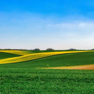 Informacija dėl sutikimo laikinai naudotis valstybine žeme