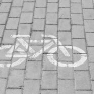 Skuodo rajono savivaldybės tarybos sprendimo projektas